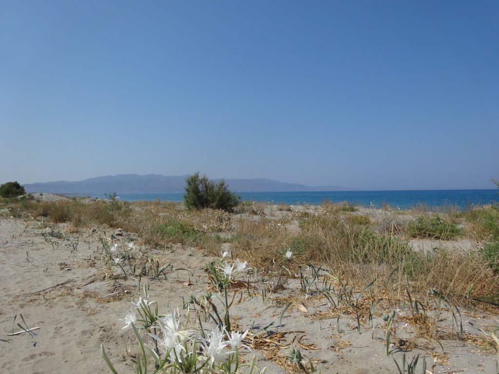 Kreta 2015 021